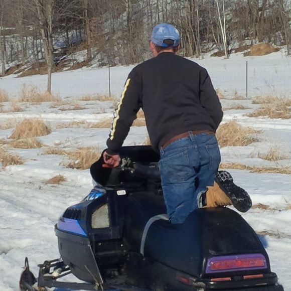 Meet your Posher, Andrew - Picture 1 of 1